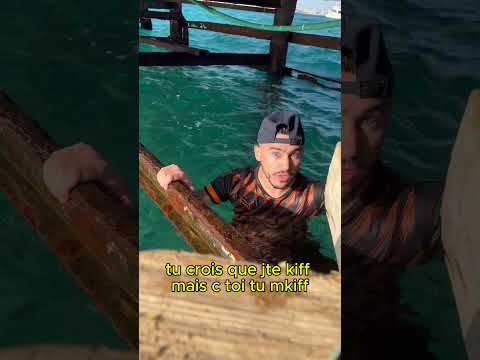 Mc Courgette — Gros Freestyle