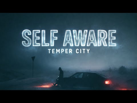 Self Aware (Temper City)