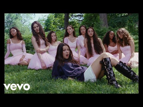 Stupid Song (Olivia Rodrigo)